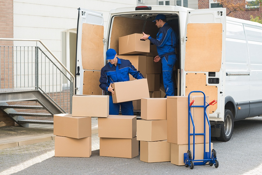 Let Fat Cat Movers Handle the Heavy Lifting